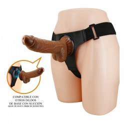 Micheal Arnés Universal con...