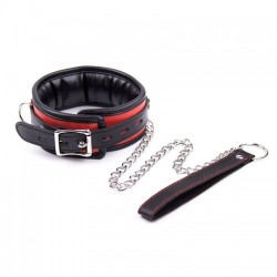 Collar Acolchado con Cadena...