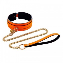 Collar Fluorescente con...