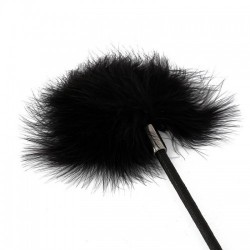 Dark Room Fusta con Plumero 2