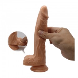 Bodach Vibrador Impulsor... 2