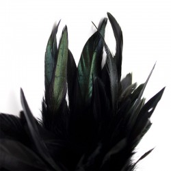 Plumero Negro SENS 2