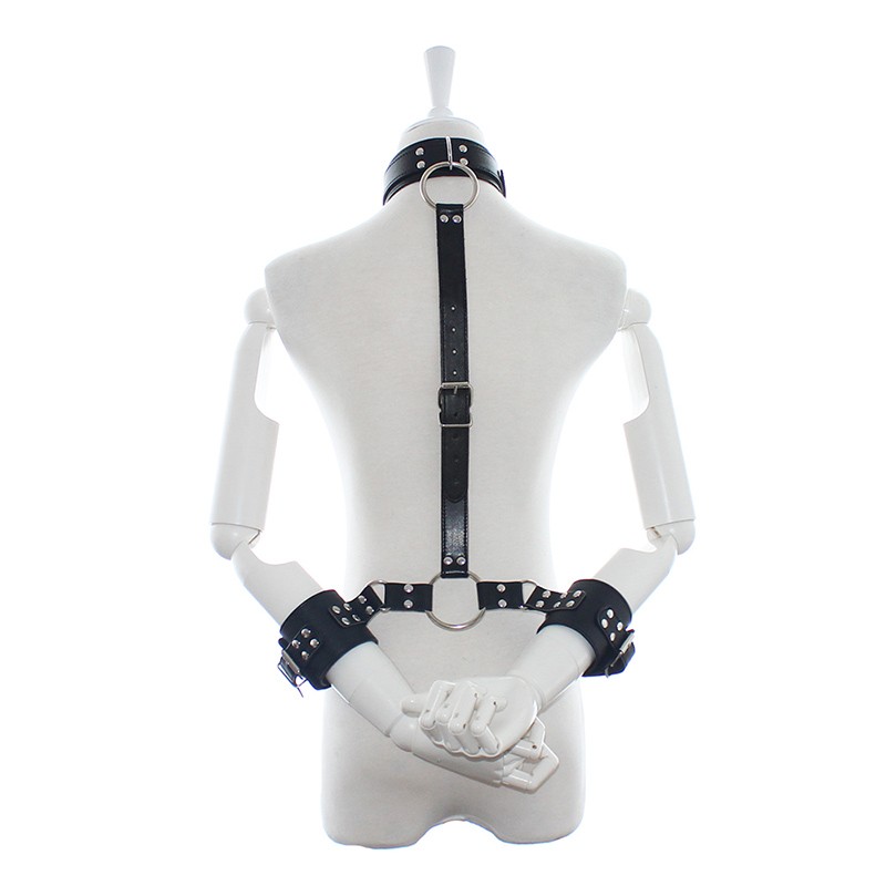 Kit Inmobilizador con Collar SENS