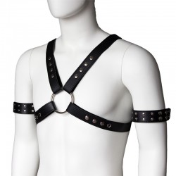 4-Strap Set Arnés de Pecho... 2