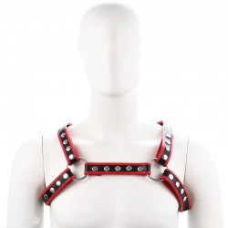 Bulldog Arnés de Pecho con...