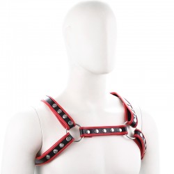 Bulldog Arnés de Pecho con... 2