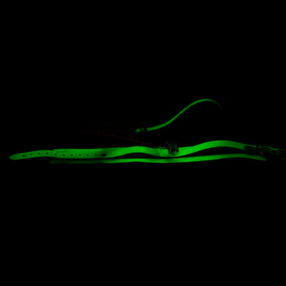 Collar Fluorescente con Cadena SENS Verde Neón